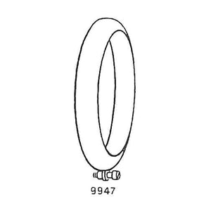 9947 - Lygterand